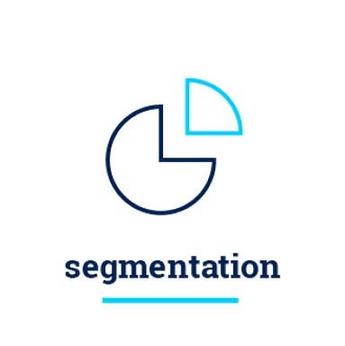 ds_segmentation